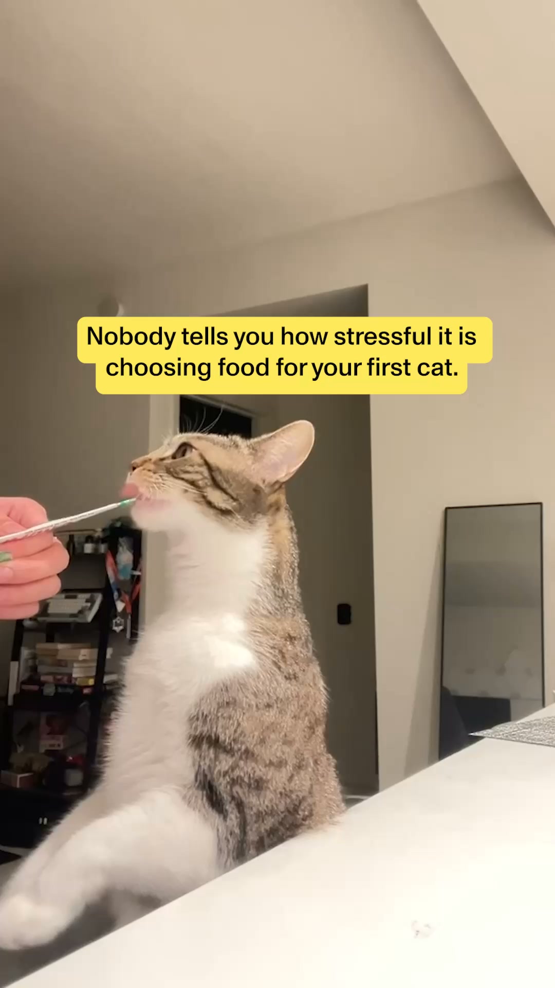 Smalls Facebook ad: Human-Grade Fresh Cat Food