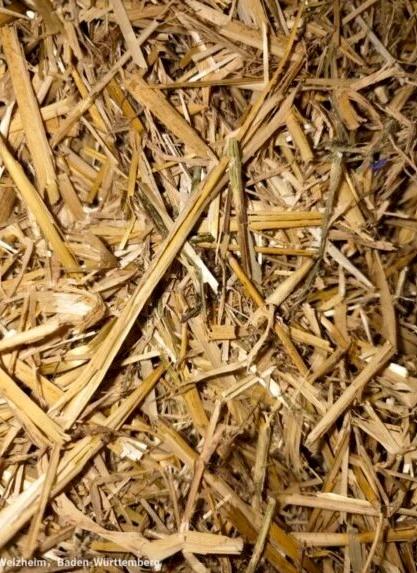 Sämerei Jehle GbR Facebook ad: Sämerei Jehle Shop - Qualität für Jagd, Forst…
