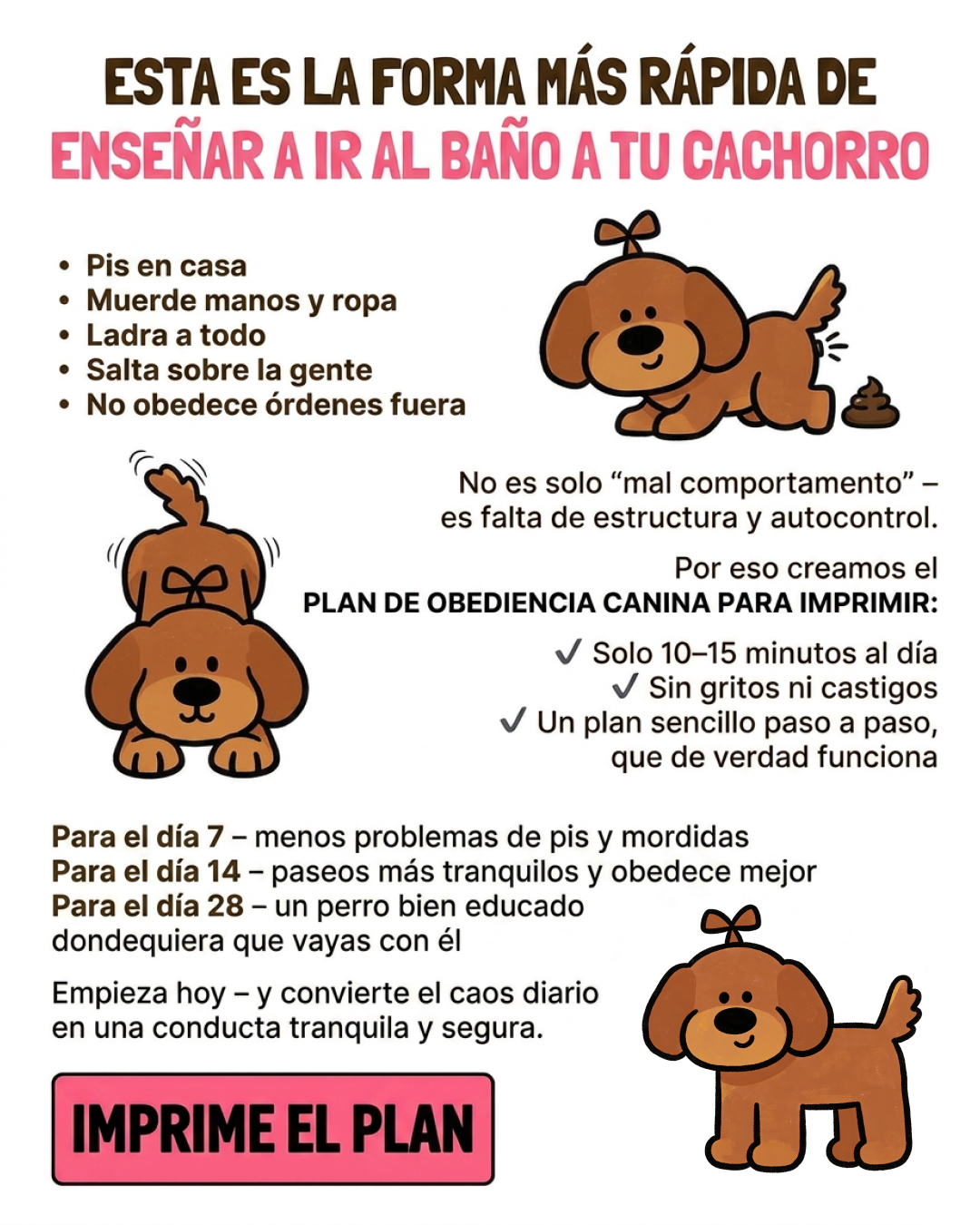 Ben Your Puppy Trainer Facebook ad