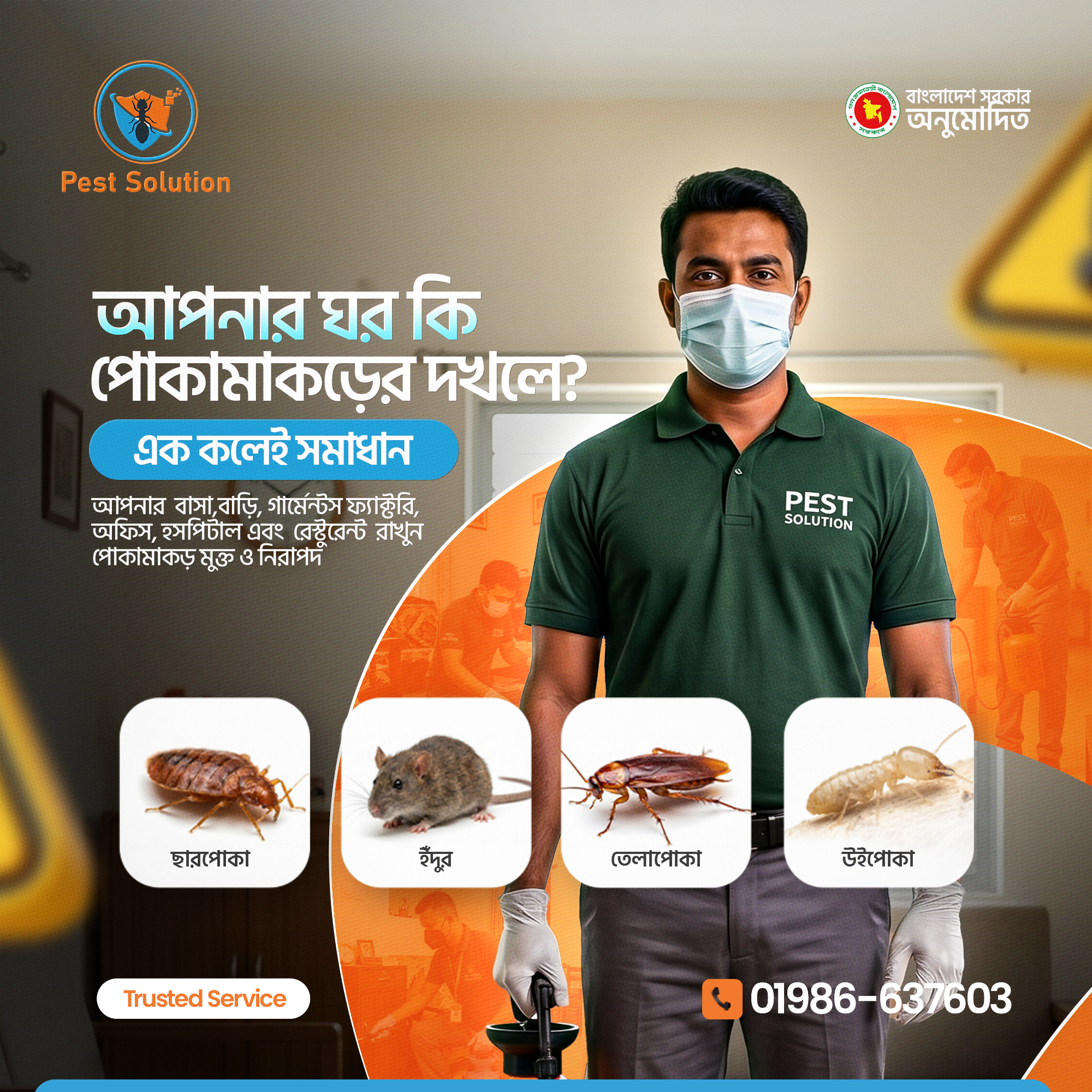 Pest solution Facebook ad: উইপোকা কি নীরবে খেয়ে ফেলছে আপনার ঘর?