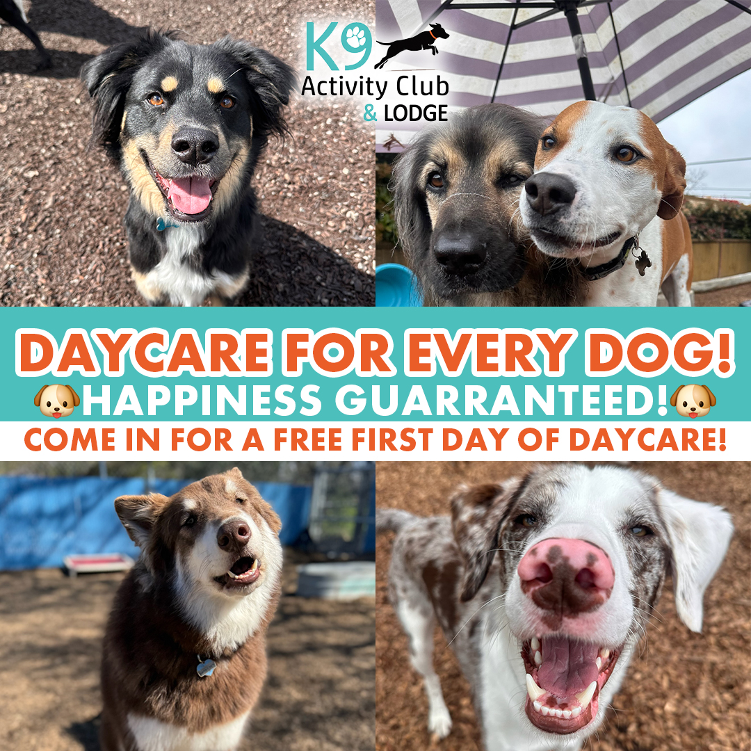 K9 Activity Club Training Facebook ad: Free Daycare Pass When You Tour Our 1.5-Acre Dog Resort!
