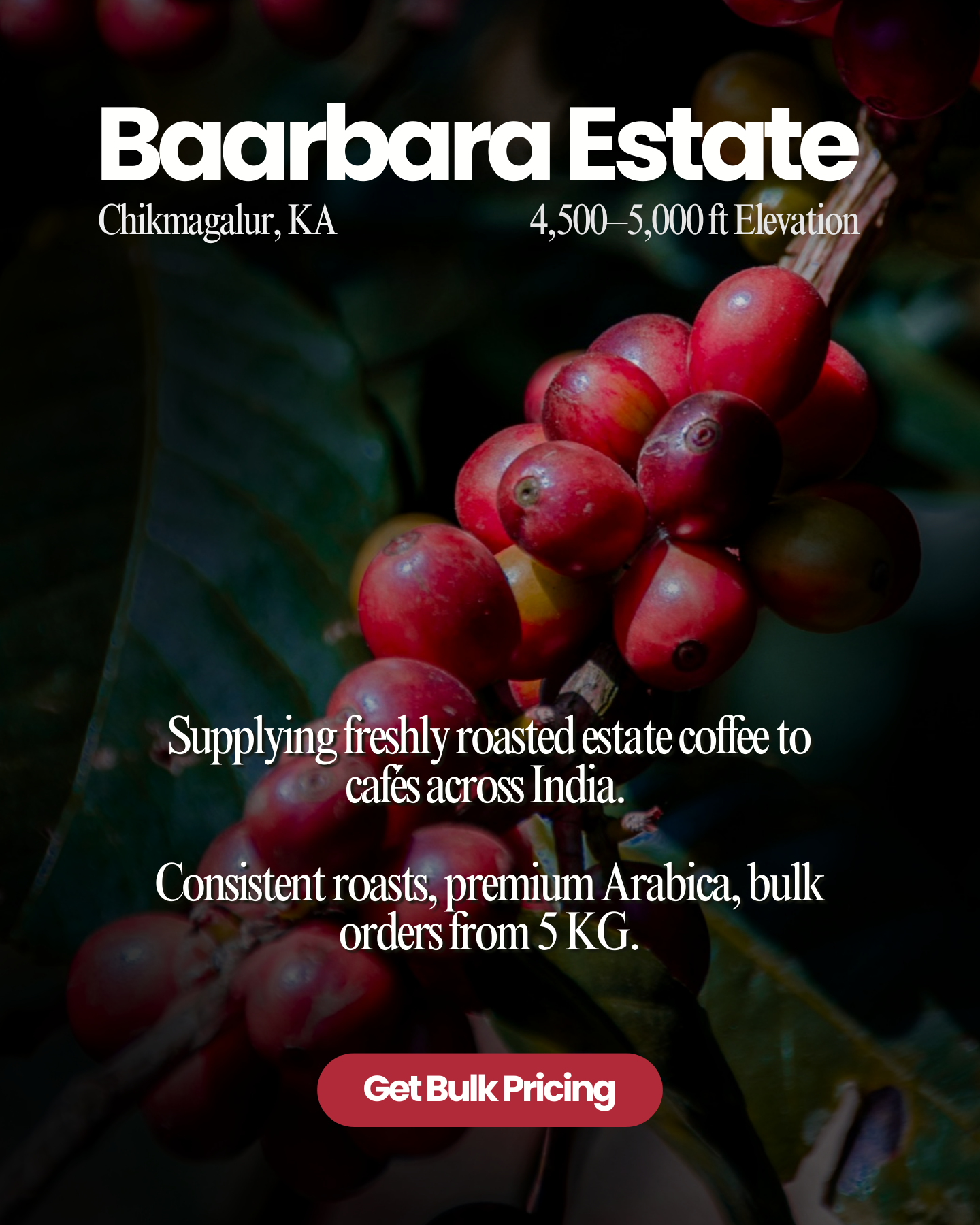 Baarbara Coffee Facebook ad