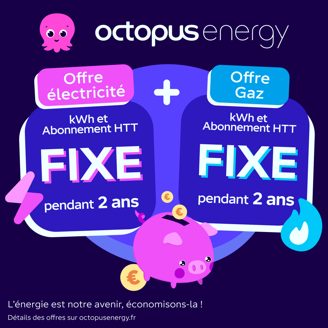 Octopus Energy Facebook ad