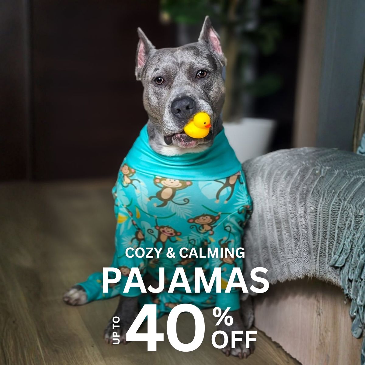 Spark Paws Facebook ad