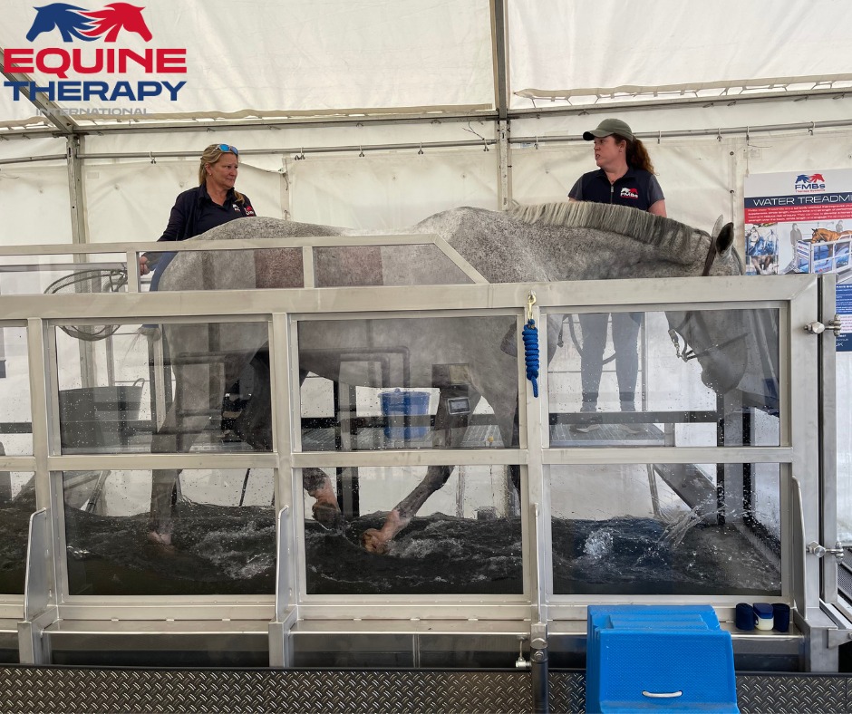 Equine Therapy International LLC Facebook ad: The Aqua Trainer for use in supporting our…