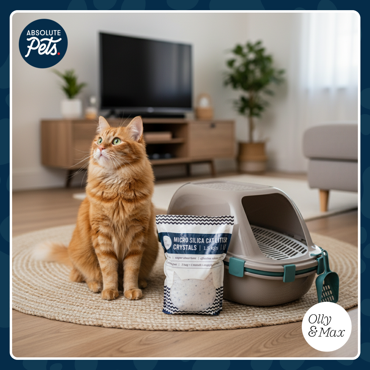 Absolute Pets Facebook ad: Say goodbye to litter box stress with Olly…