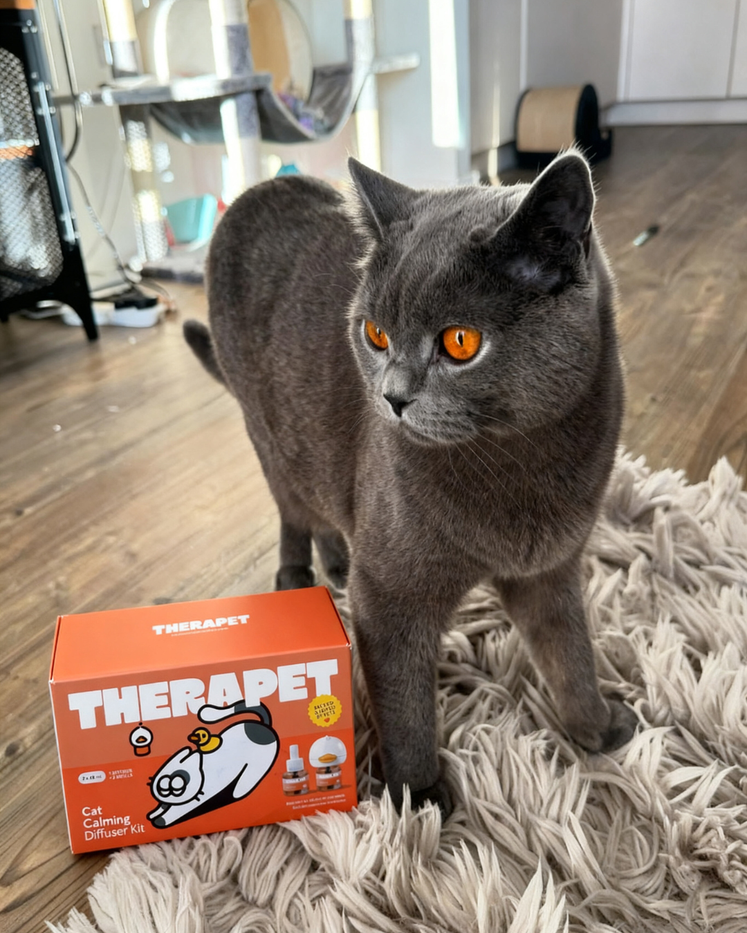 TheraPet Facebook ad