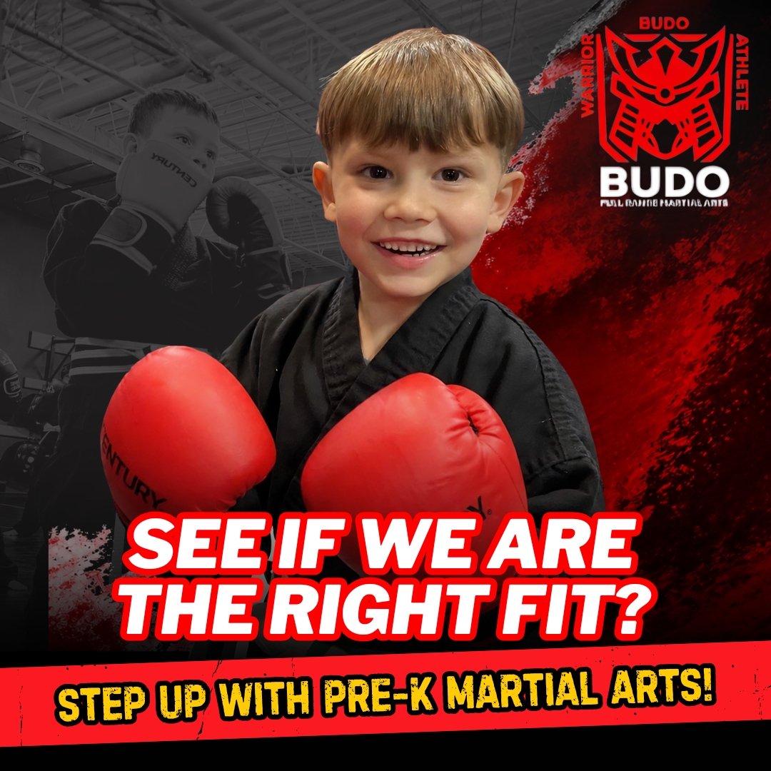 Budo Voorhees Martial Arts Facebook ad: Pre-School Kids Martial Arts - Start Here