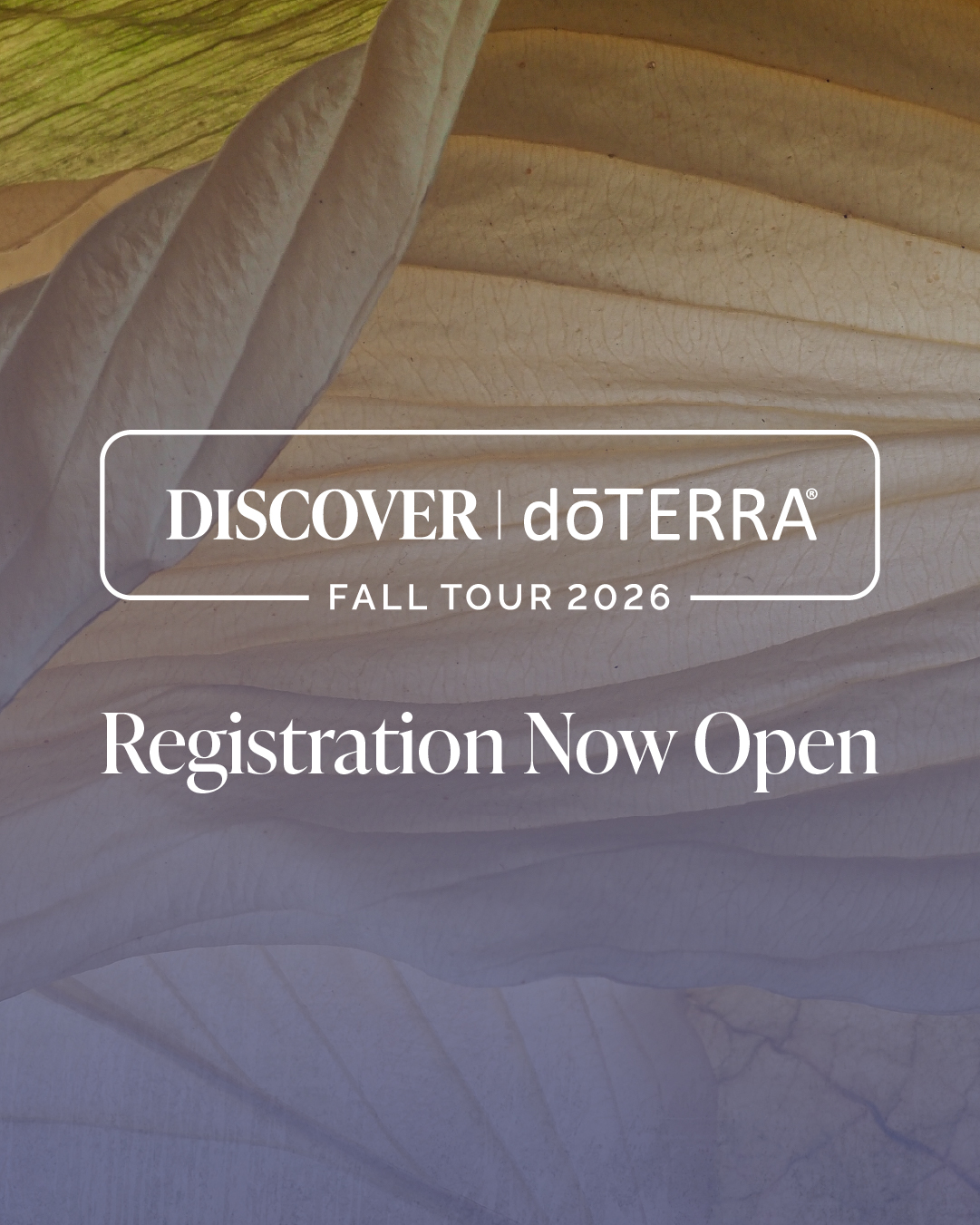 doTERRA Business USA Facebook ad: Come Curious, Discover More