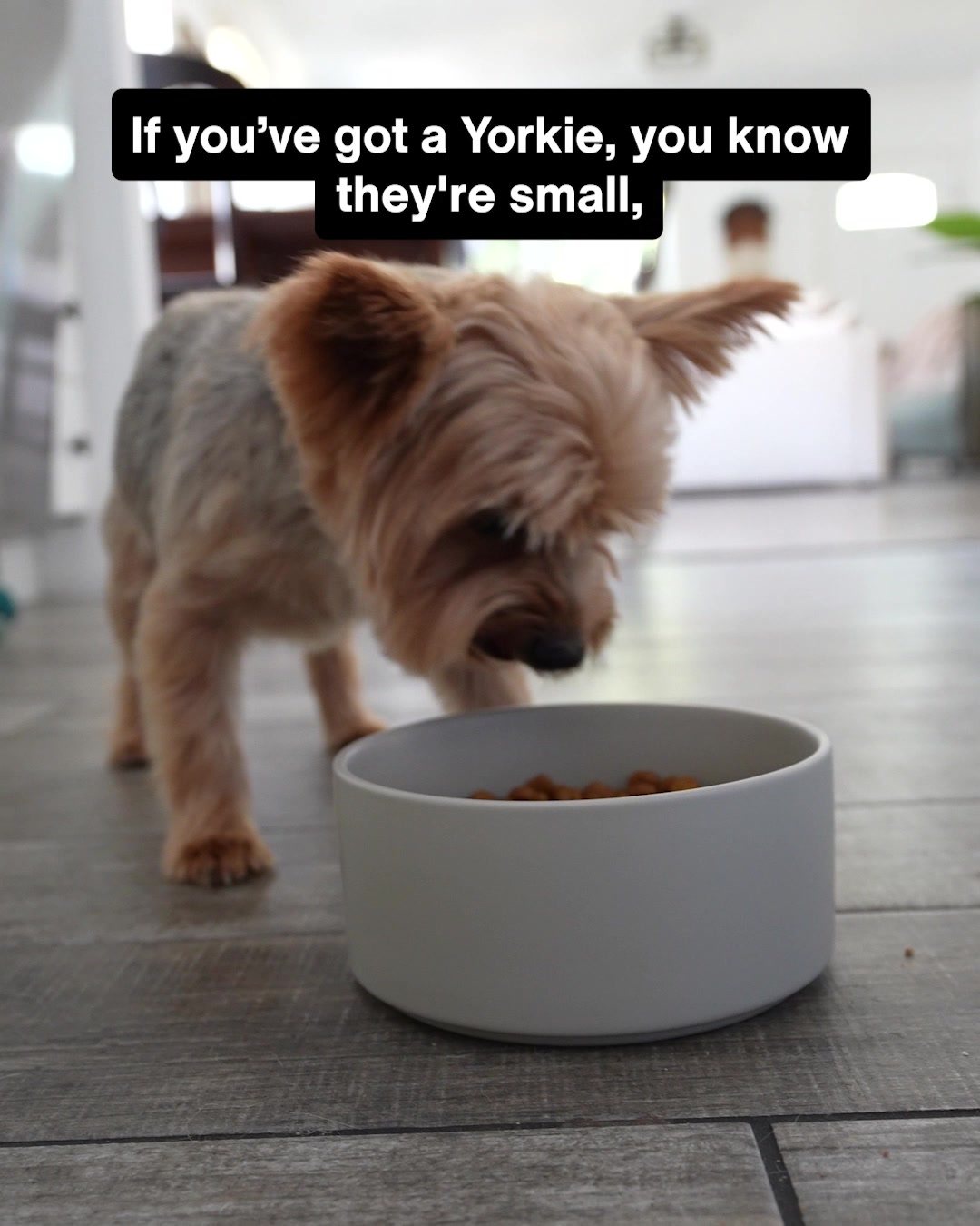 Petco Facebook ad: Unique Needs. Precise Nutrition
