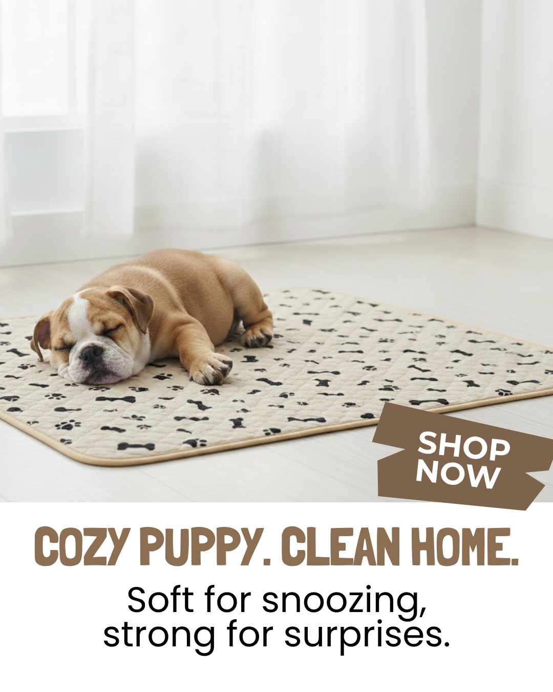 Potty Buddy Facebook ad