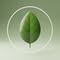 The Wellness Report