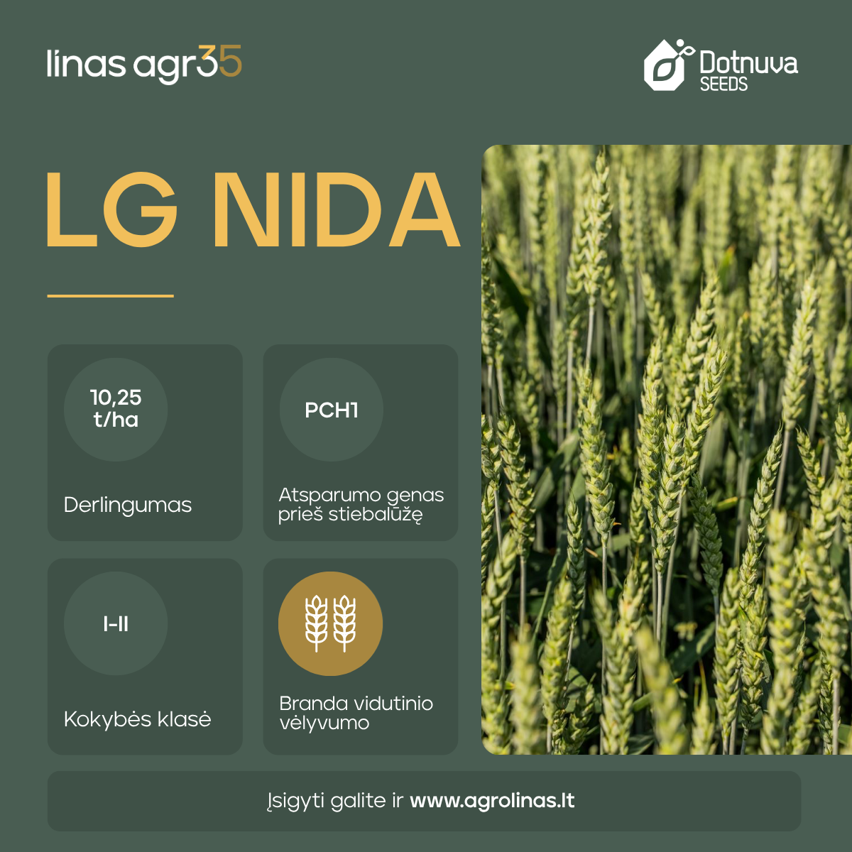 Linas Agro Lietuva Facebook ad: Kuri žieminių kviečių veislė geriausiai atitinka Jūsų laukų…