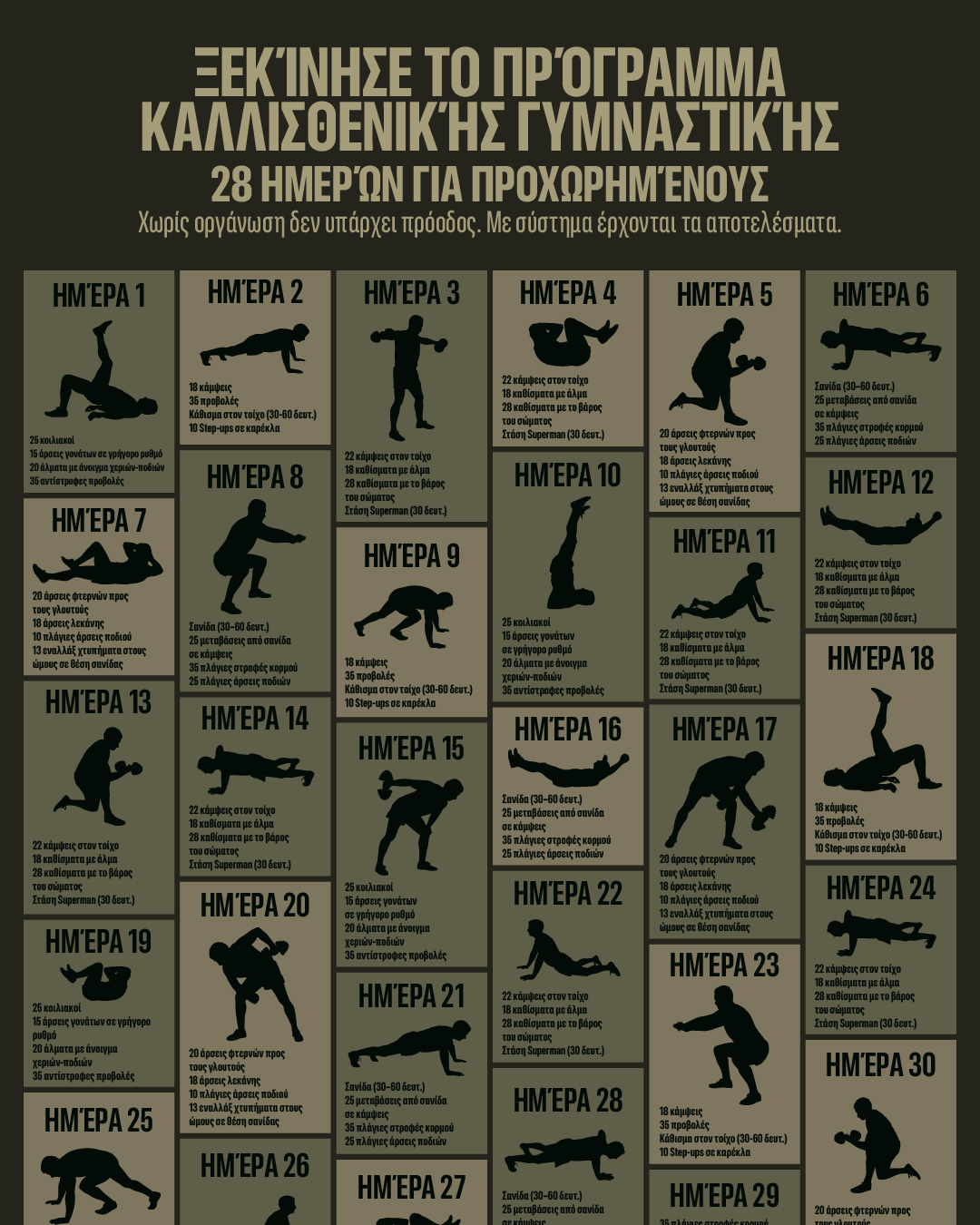 21 Day Calisthenics Challenge Facebook ad