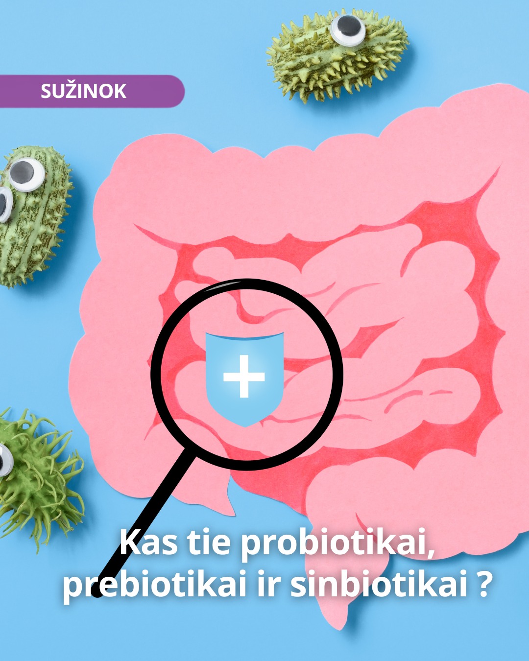 Sumanioms ir išmanioms Facebook ad: Mokslininkai vis daugiau dėmesio skiria žarnyno…