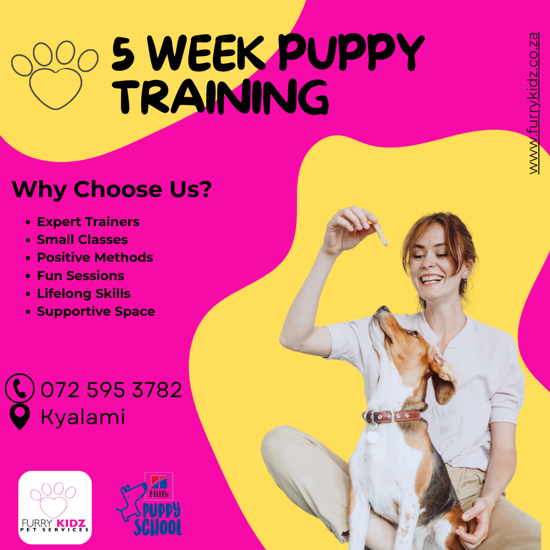 Furry Kidz Pet services Facebook ad: From chaos to ‘good dog’ in no time!