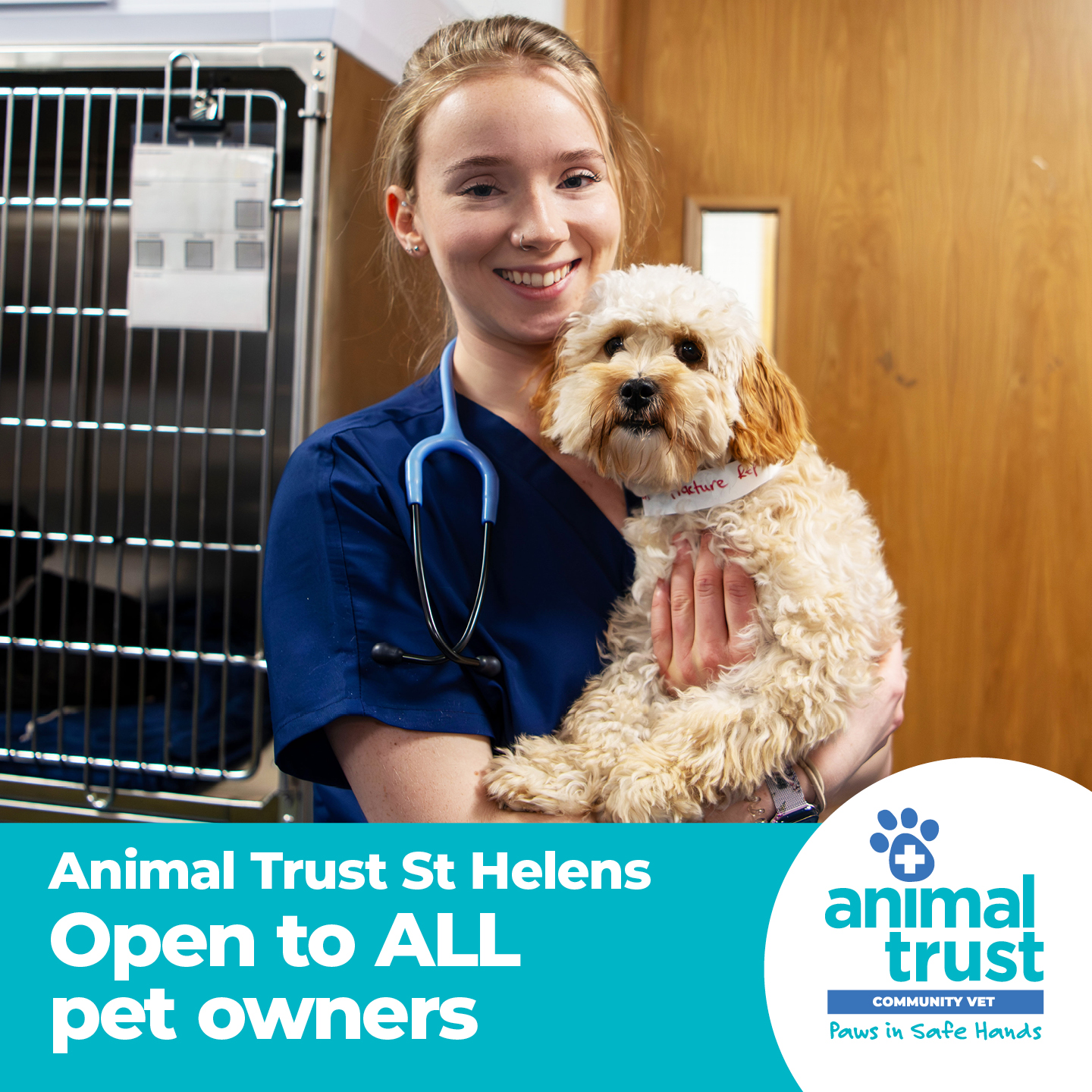 Animal Trust Vets Facebook ad