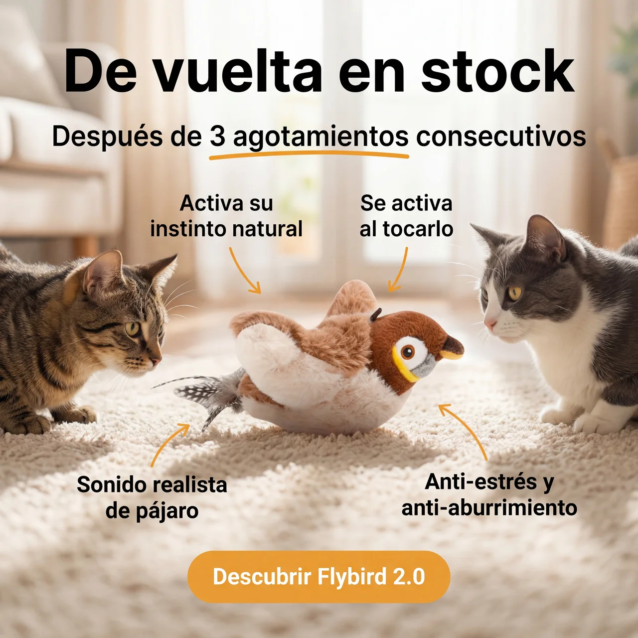 Pawlet Facebook ad