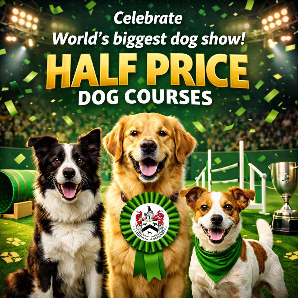British College of Canine Studies Facebook ad: Home - BCCS