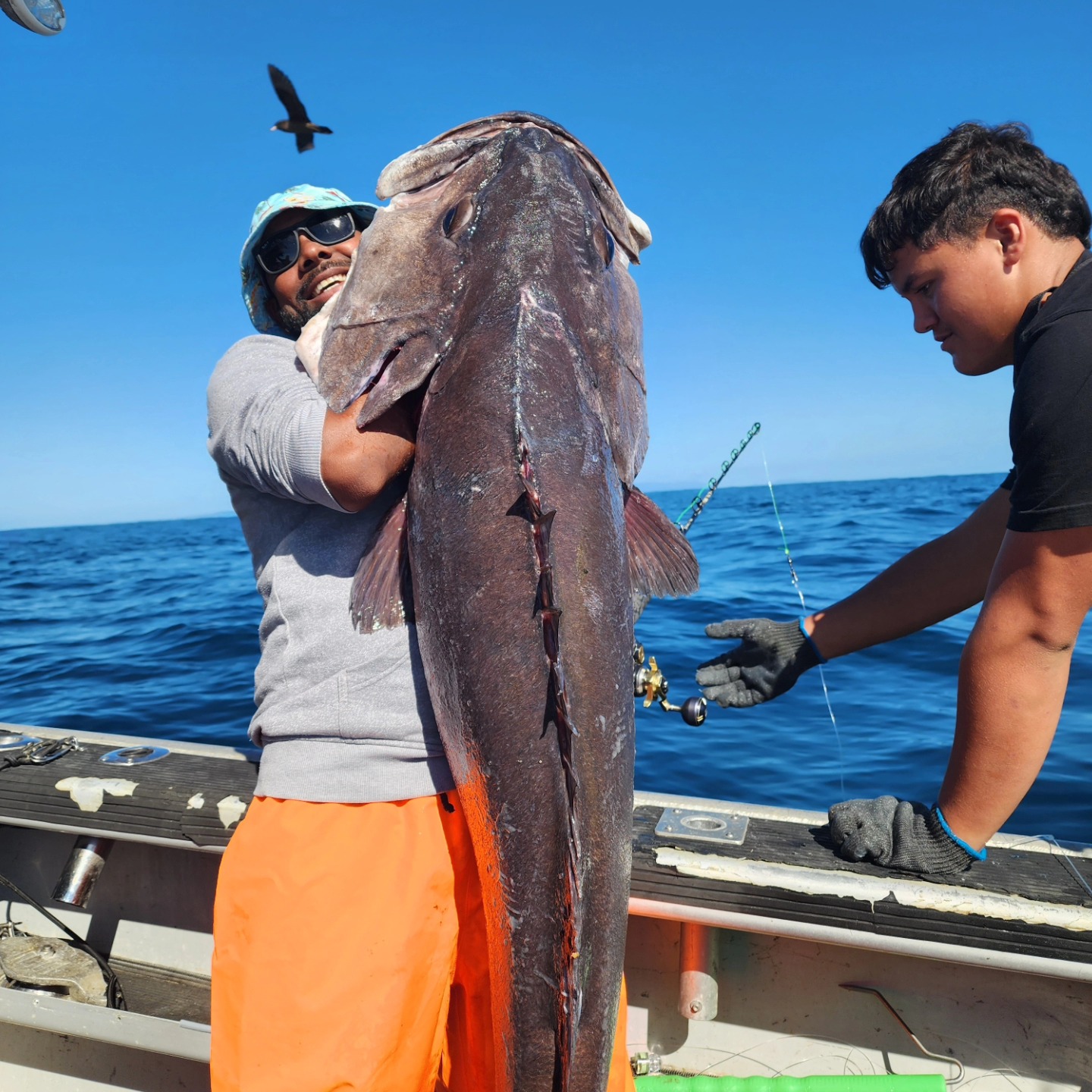 East Coast Sportfishing Charters Facebook ad: Based in Maraehako Bay, East Coast, NZ.