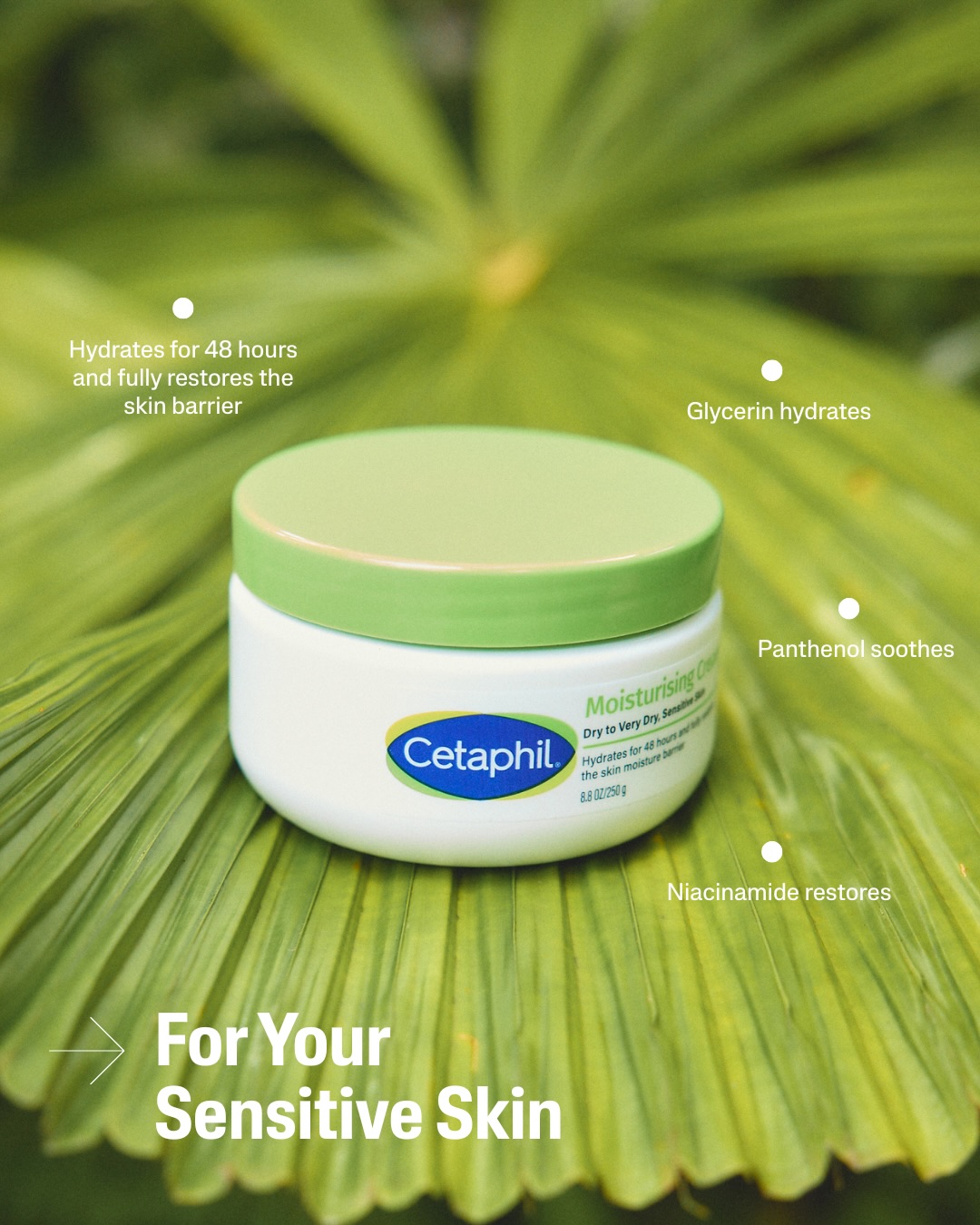 Cetaphil Facebook ad: Some of our essentials wandering through CetaSOL
