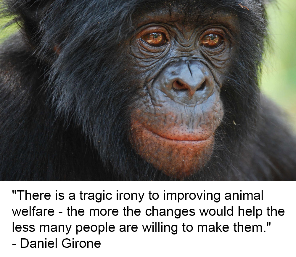 Animal Matters Facebook ad