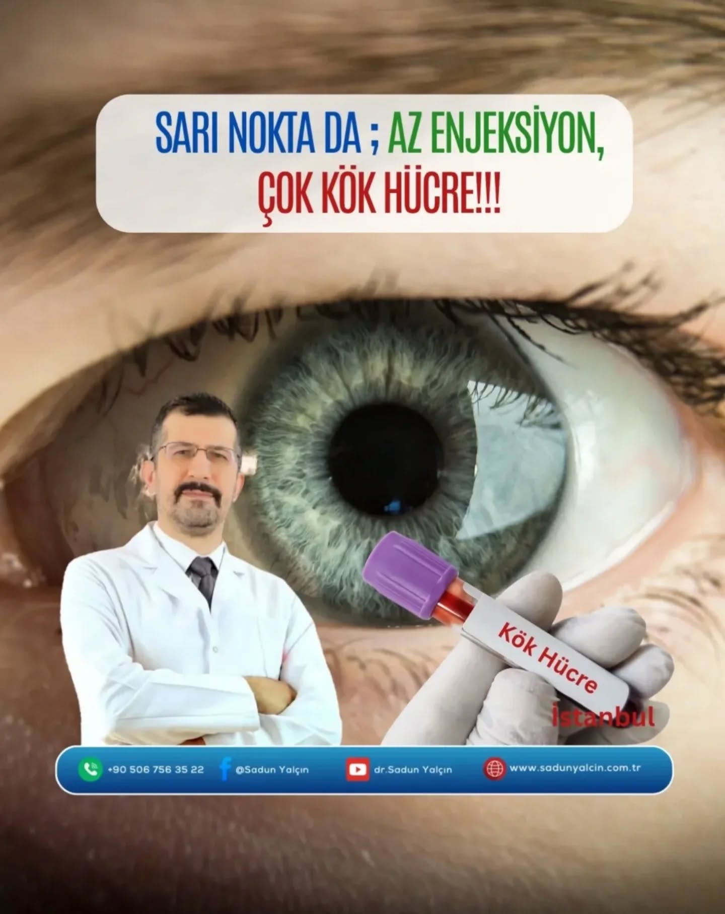 Sari Nokta Facebook ad: Yaş tip Sarı Nokta Hastalığında ve hatta kuru…