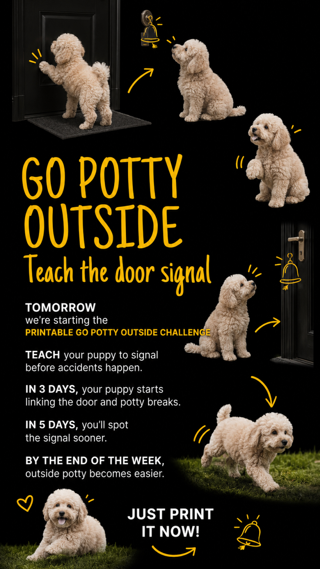 Ben Your Puppy Trainer Facebook ad