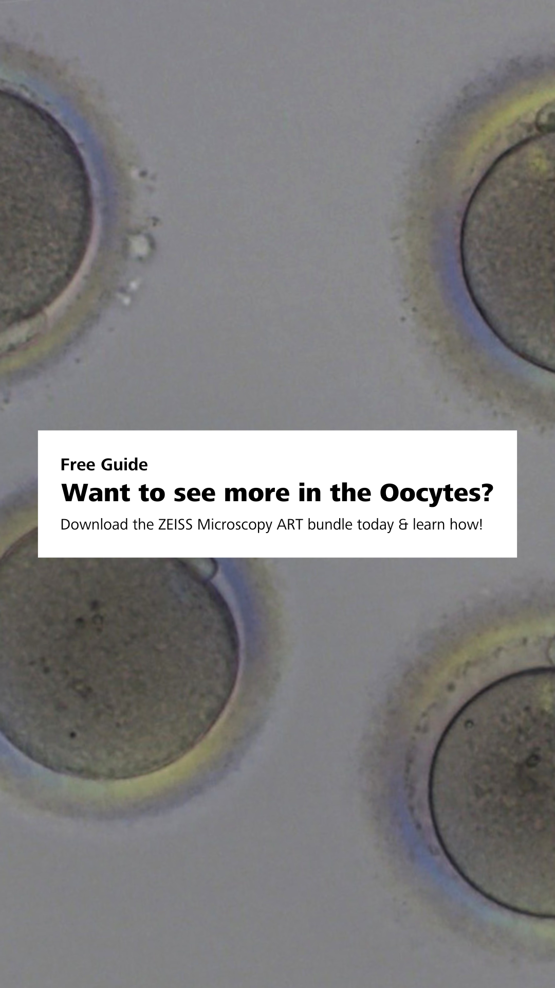 ZEISS Microscopy Facebook ad