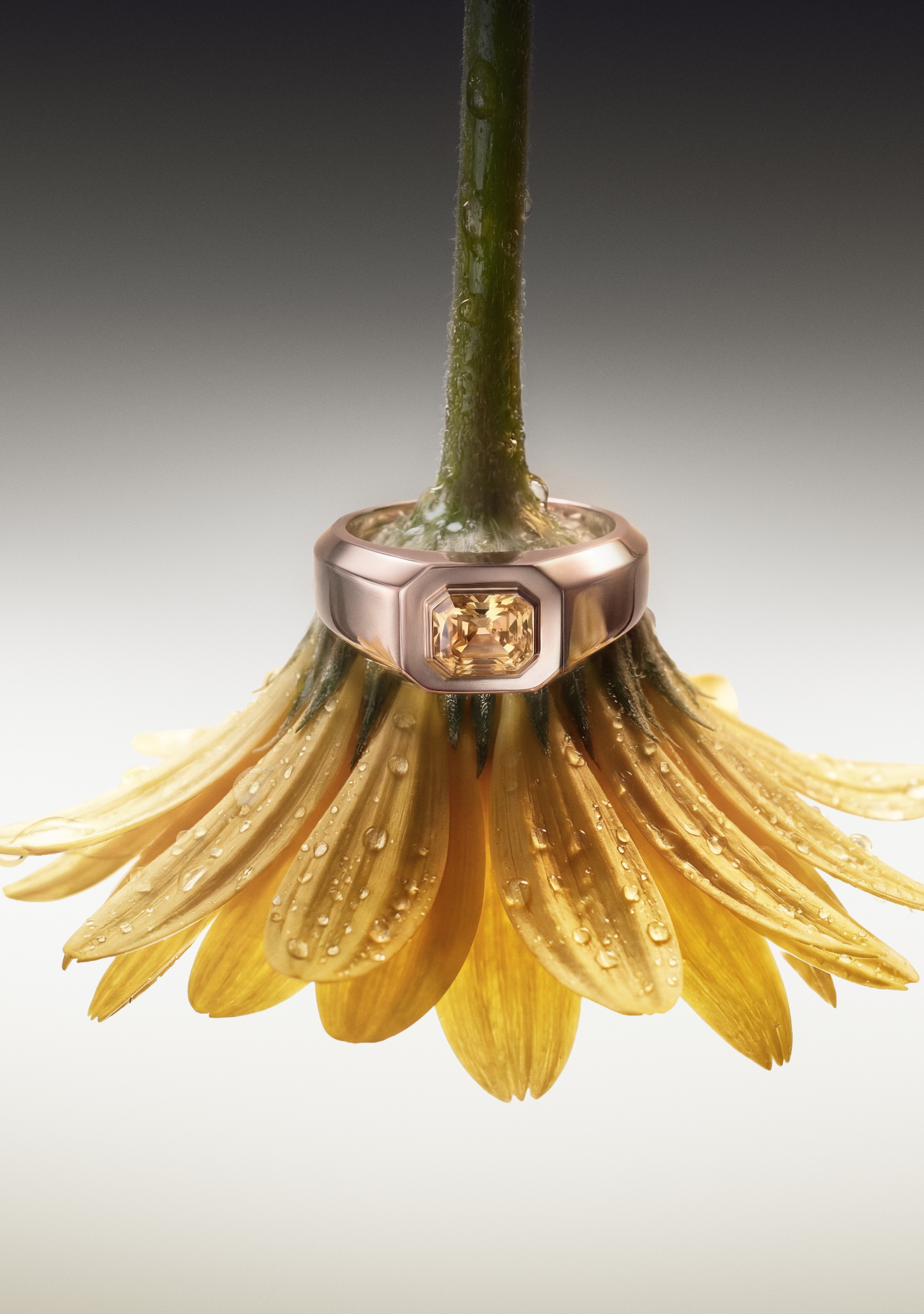 Leibish Facebook ad