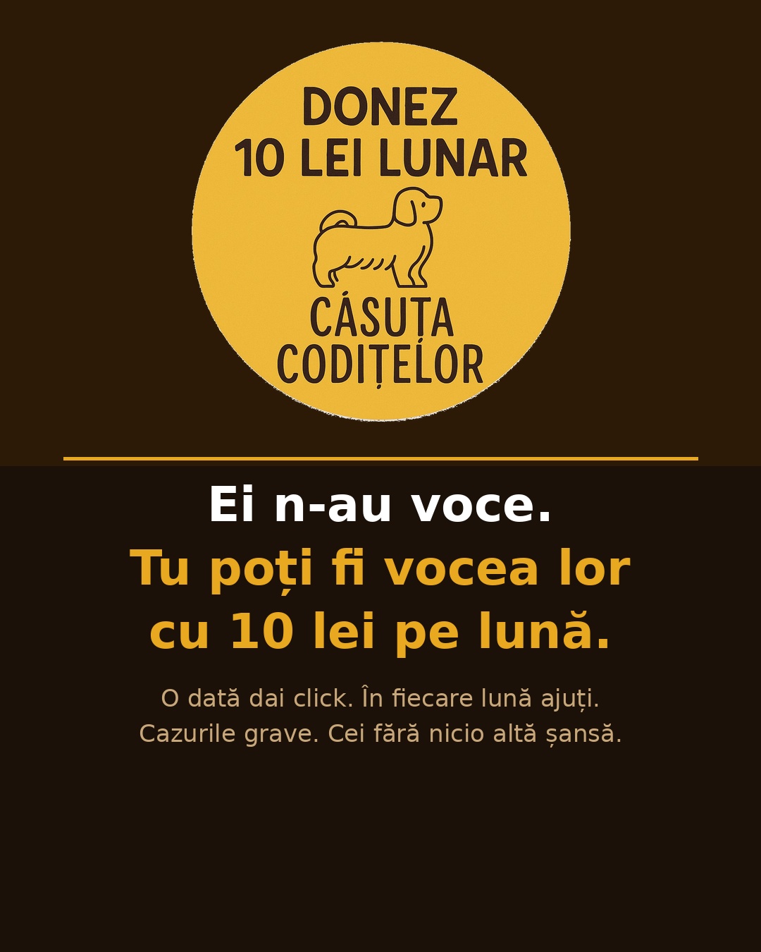 Asociatia Casuta Coditelor Facebook ad from Apr 22, 2026