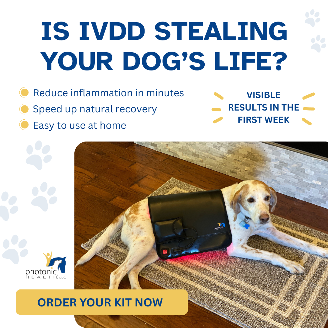 Photonic Health Facebook ad: Your Dog Deserves Relief, Order Your IVDD Kit Now