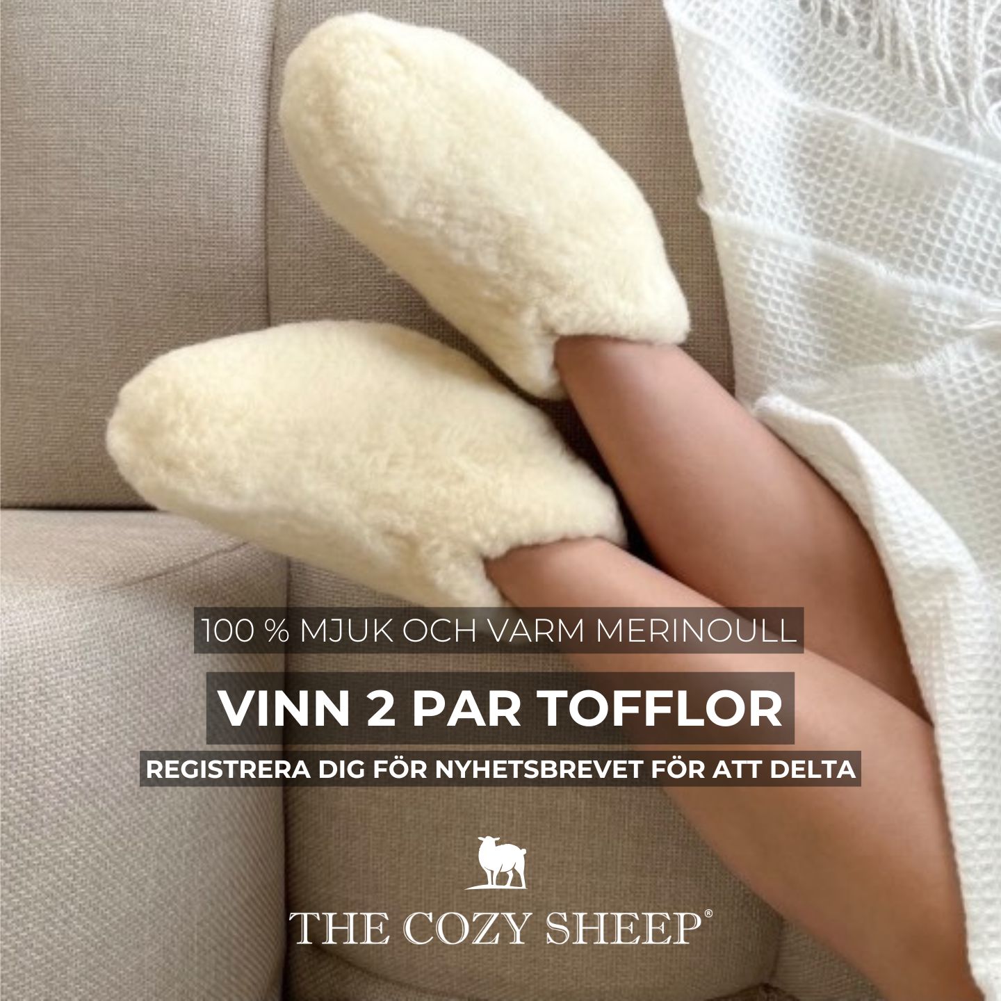 The Cozy Sheep Facebook ad