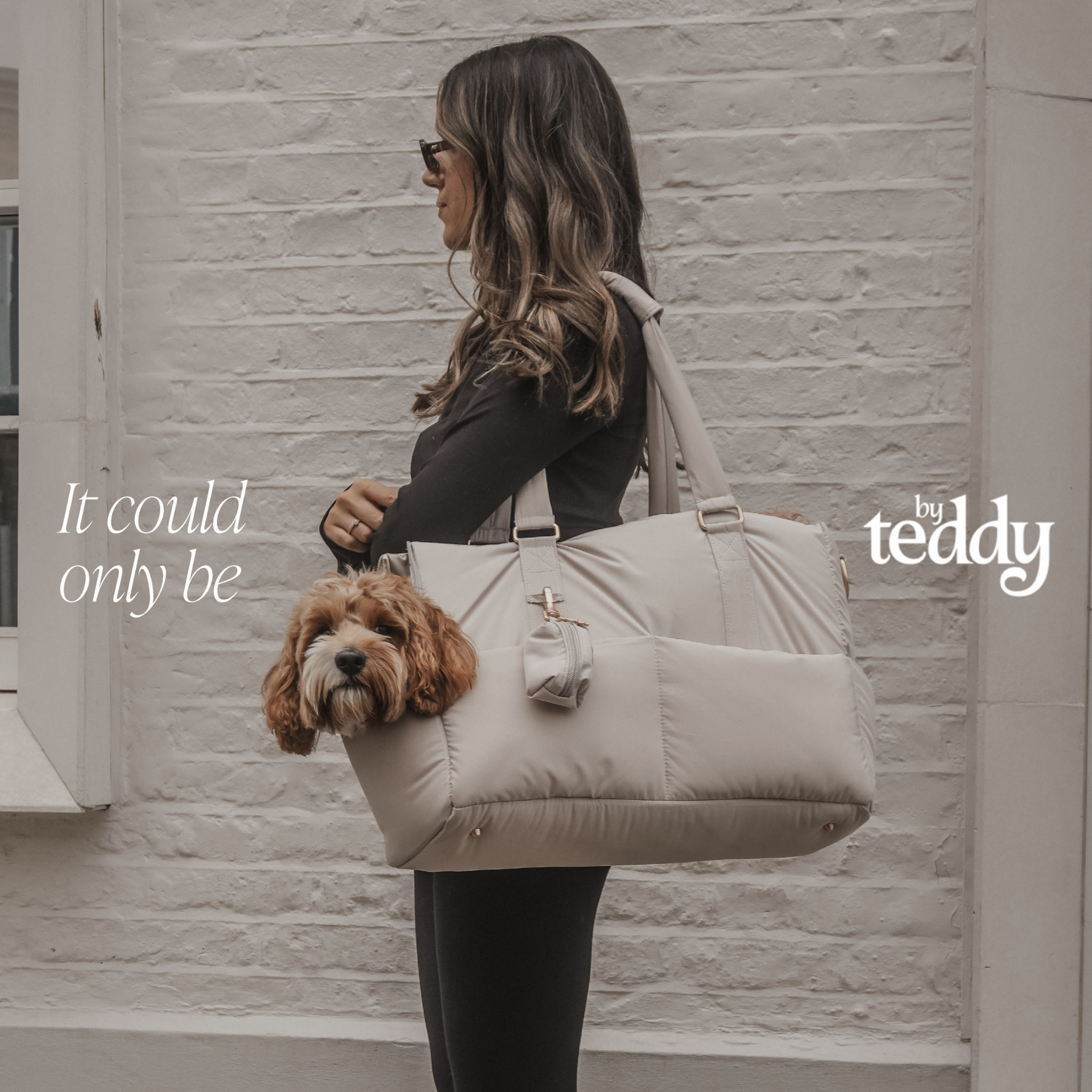 By Teddy Facebook ad