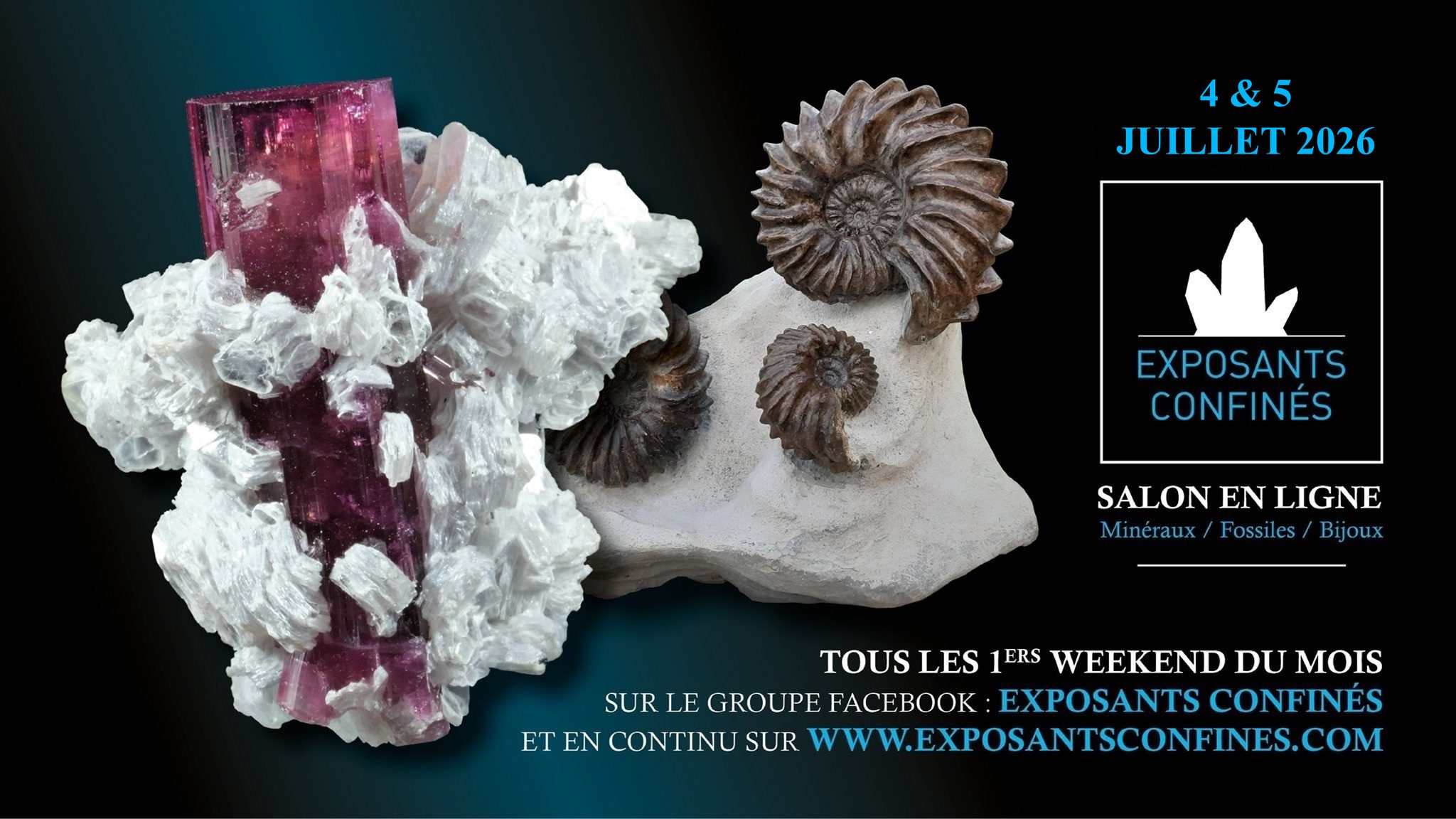 Exposants confinés Facebook ad
