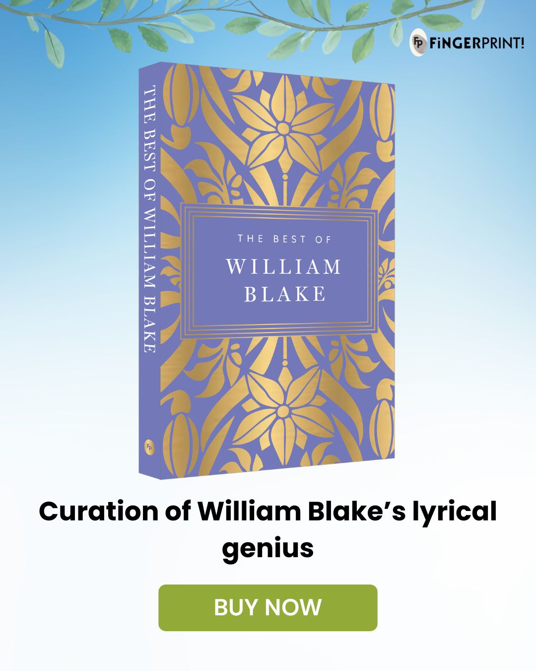 Wonder House Books Facebook ad: Discover Blake's Visionary Poetry
