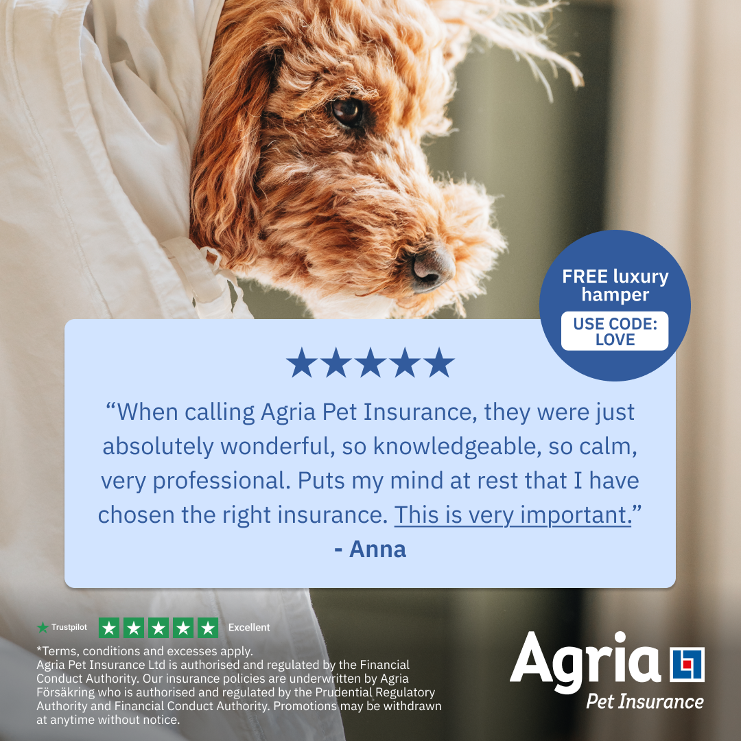 Agria Pet Insurance Facebook ad: Use code LOVE for a FREE luxury hamper.
