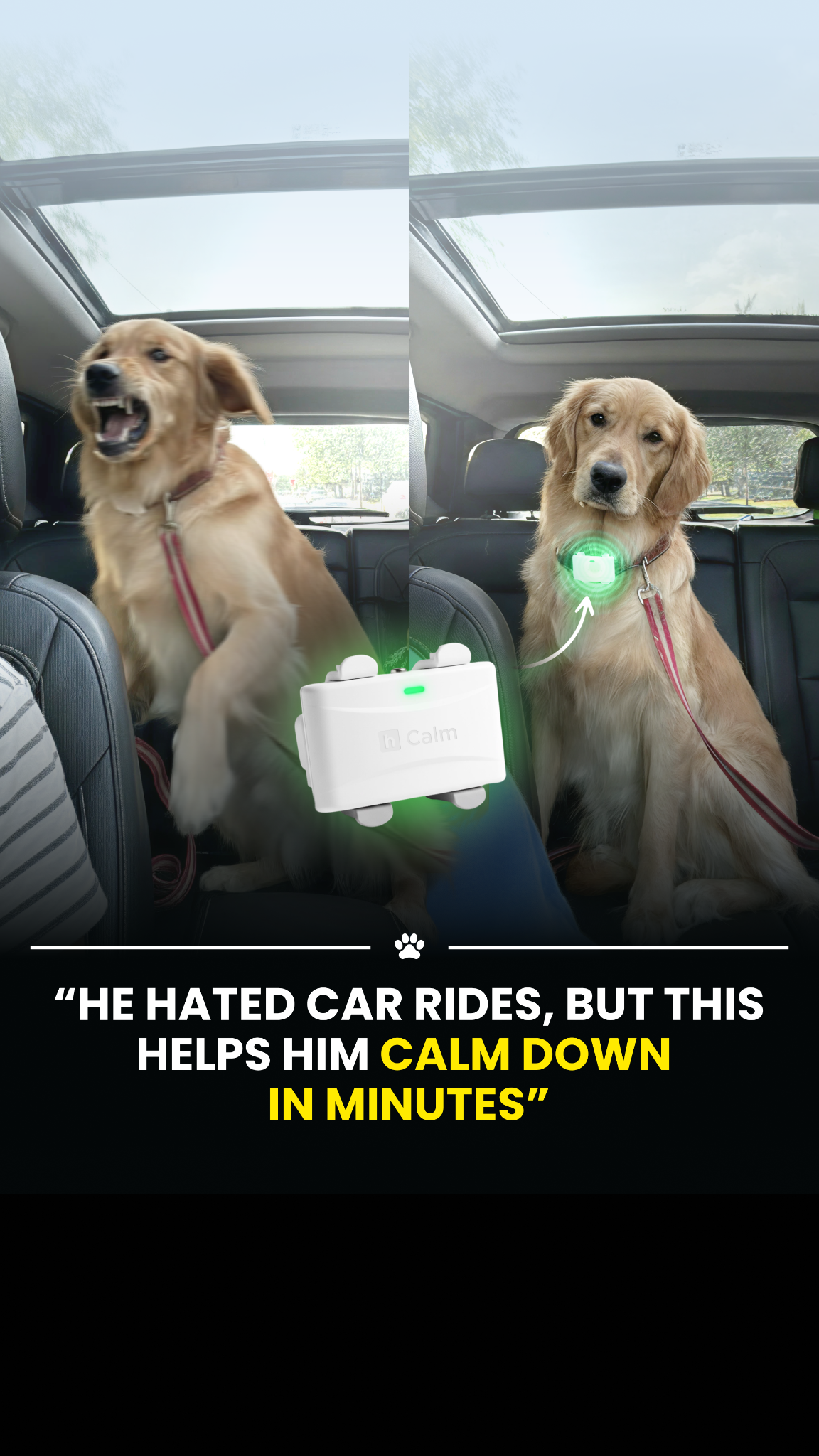 Animal Science Today Facebook ad
