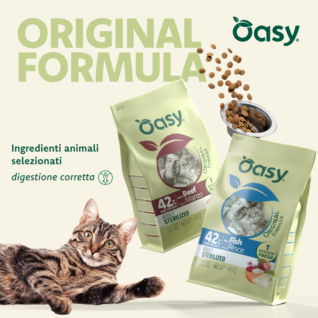 Oasy World of Love Facebook ad: Novità in negozio: Oasy Original Formula
