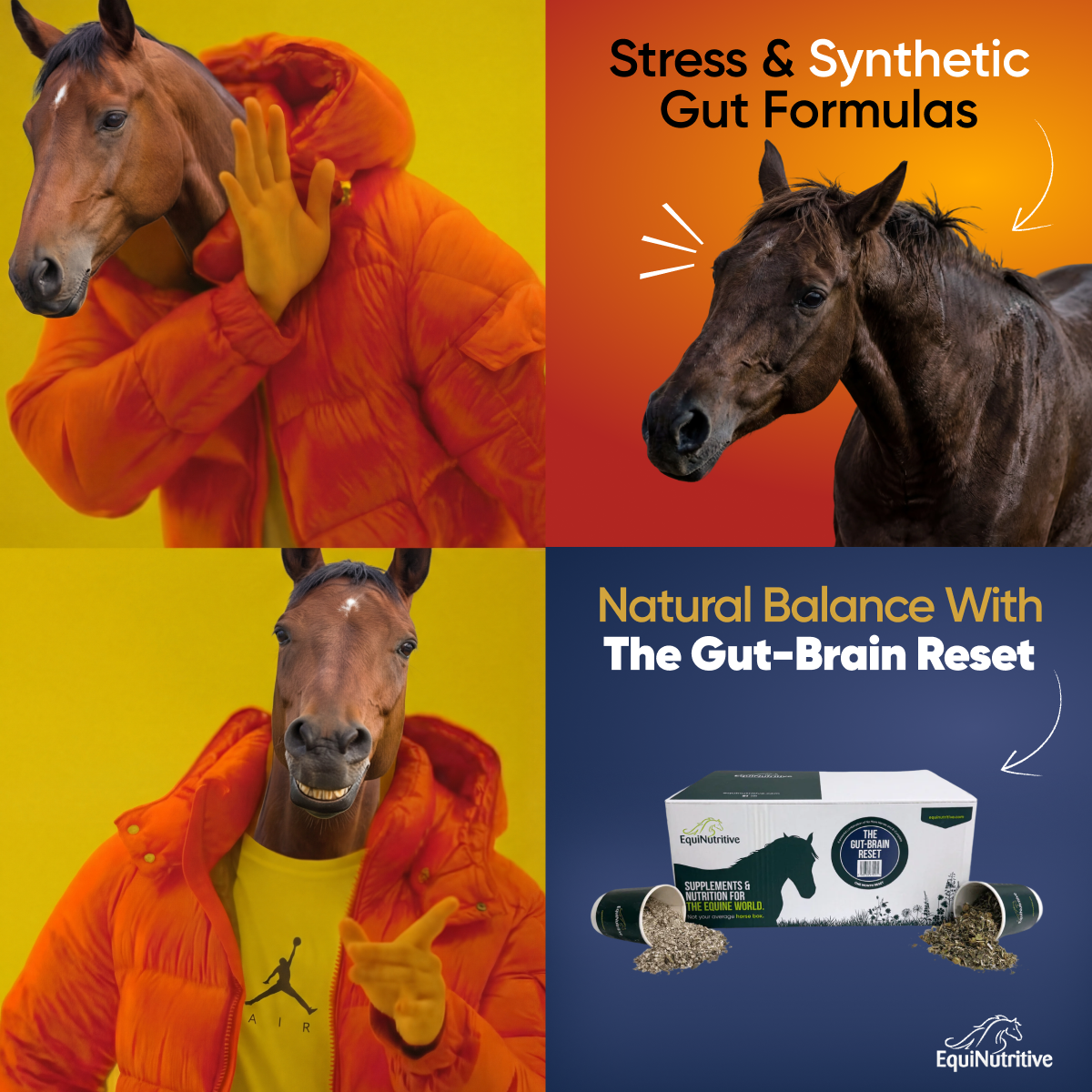 EquiNutritive Facebook ad