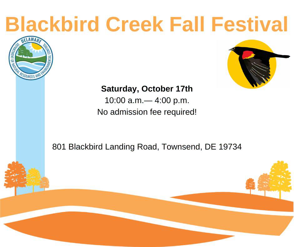 Delaware National Estuarine Research Reserve (DNERR) Facebook ad: Blackbird Creek Fall Festival