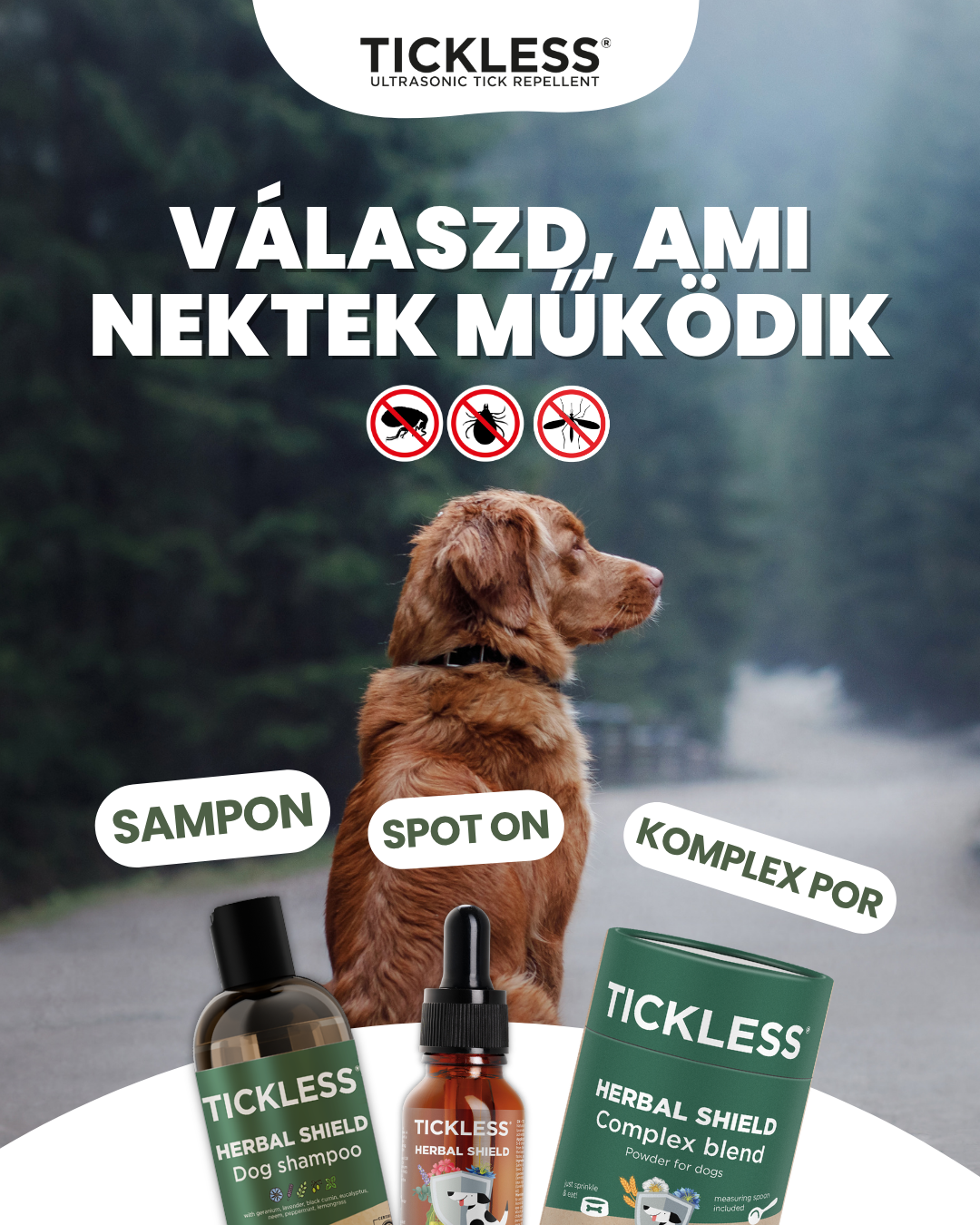 ProtectOne Facebook ad: Rendeld meg most!