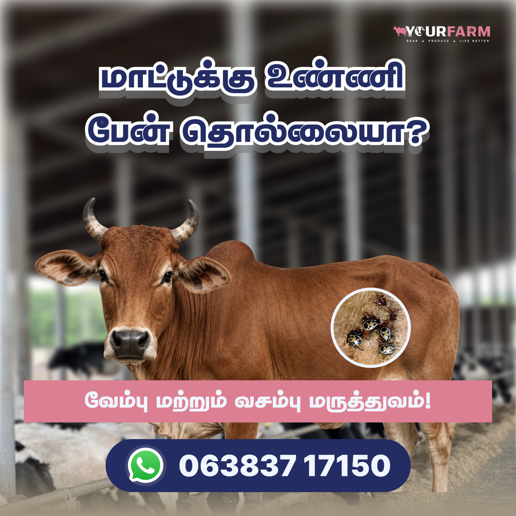 YourFarm AgriTech Facebook ad