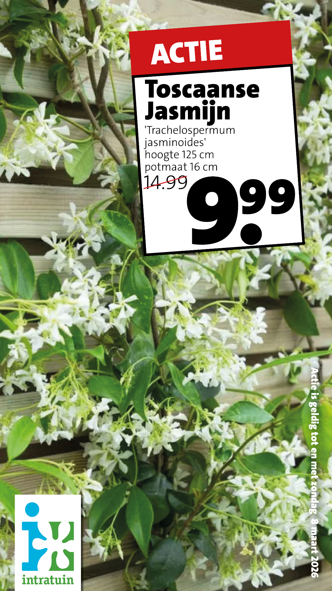 Intratuin Elst Facebook ad from Mar 2, 2026
