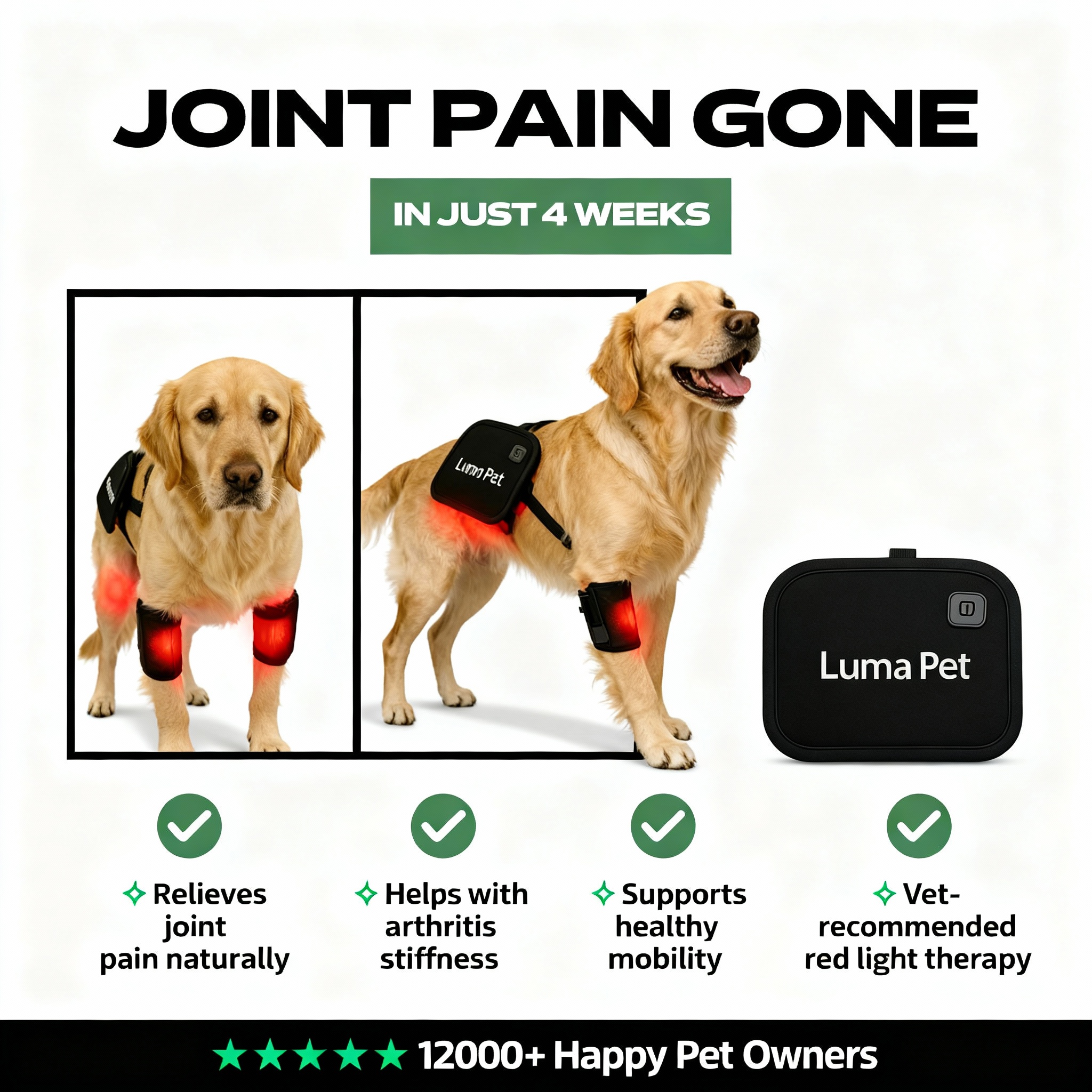 Emily Pet Tips Facebook ad