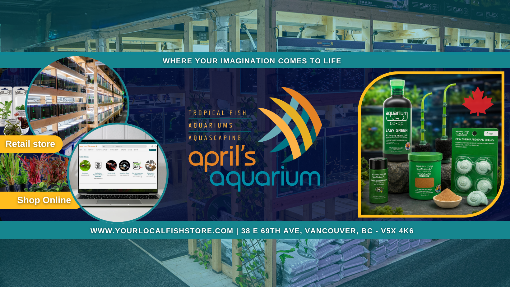 April's Aquarium Facebook ad: Your Local Fish Store