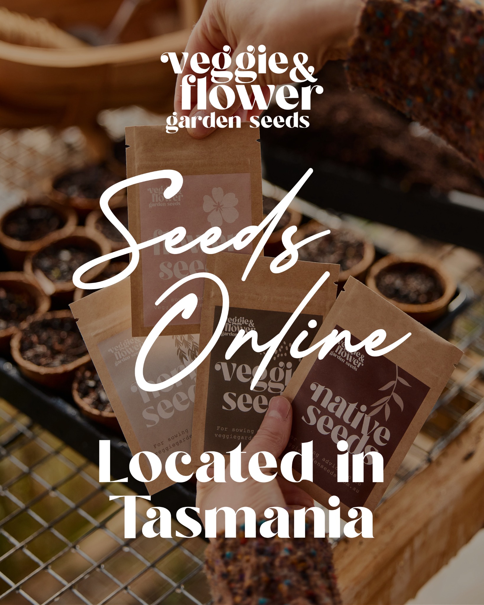 Veggie & Flower Garden Seeds Facebook ad