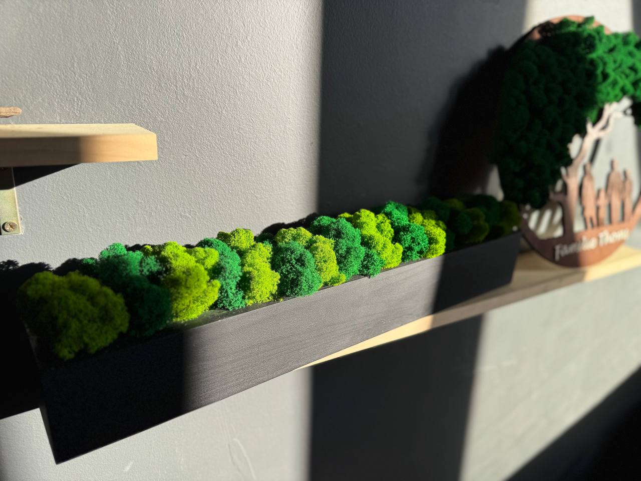 Moss Art decor Facebook ad: Магазин Унікального Декору
