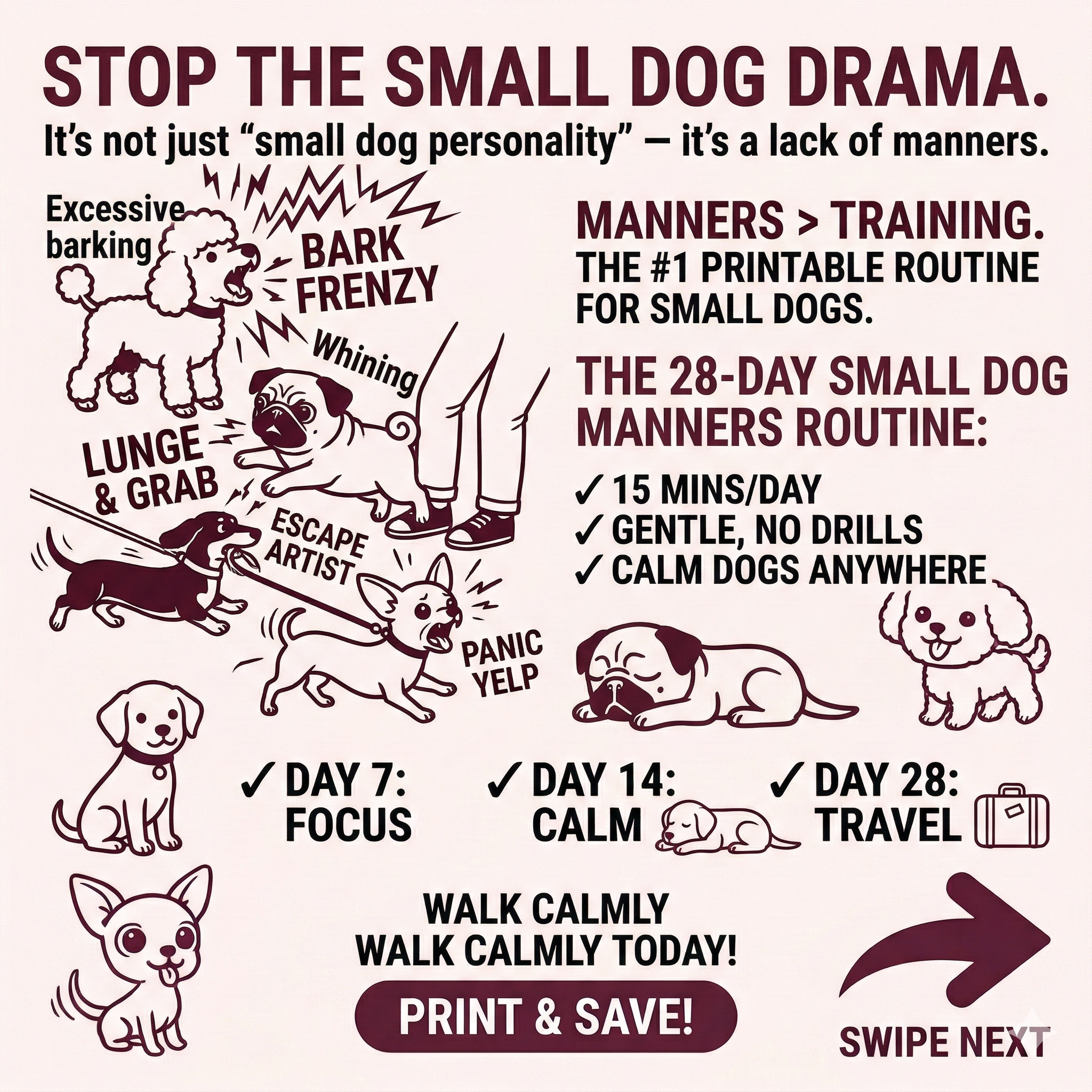 Lionel Carter Facebook ad: Small dogs don’t need training!