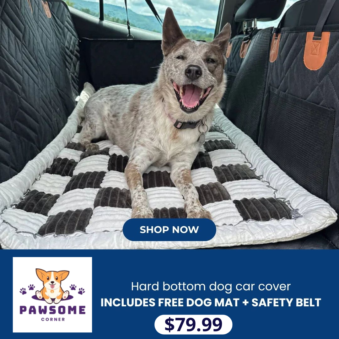 Paw Some Corner Facebook ad: FREE DOG BED +FREE BELT